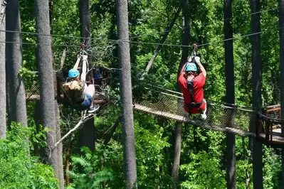ziplines in gatlinburg at anakeesta