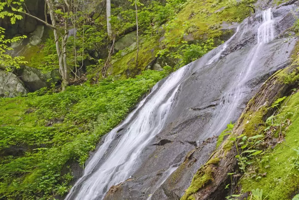 fern branch falls in the smoky mountains