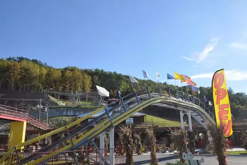 Goats on the Roof mountain coaster in pigeon forge tn