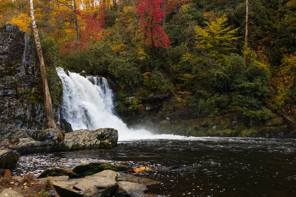 shutterstock_2092534444