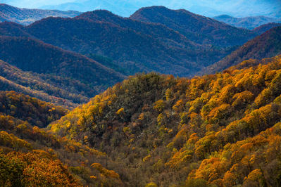fall foliage in the smokies at newfound gap road