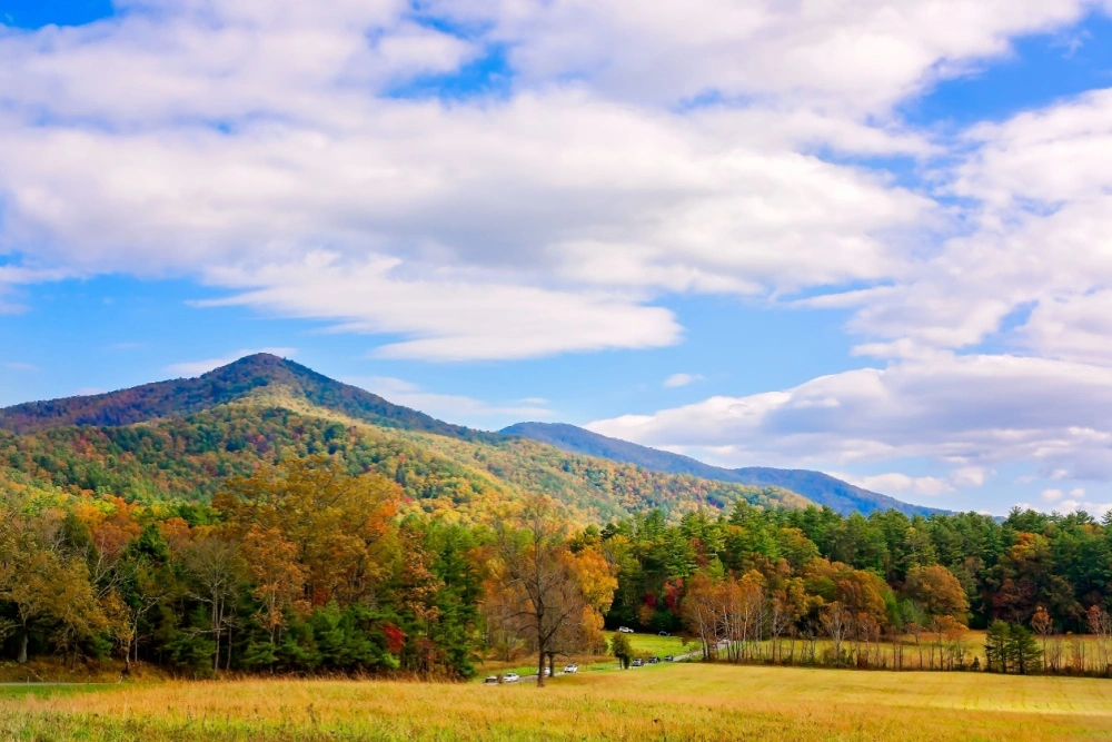cades cove fall foliage in the smokies